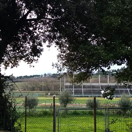 Raki Fano (Pesaro and Urbino)